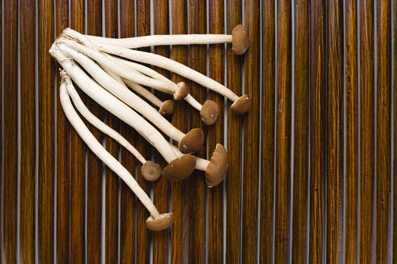 无人,横图,俯视,室内,特写,白天,桌面,桌子,蔬菜,新鲜,木制,菌菇,食品,菌类,平菇,食物,木制品,食用菌,摄影,有机食品,绿色食品,影棚,姬菇,糙皮侧耳,侧耳,黑牡丹菇,彩图,高角度拍摄,影棚拍摄,拍摄