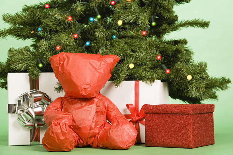 无人,横图,室内,特写,白天,正面,游戏,植物,鸟,熊,鹦鹉,静物,礼盒,礼物,玩具,装饰,鸟类,玩偶,纸盒,圣诞树,泰迪熊,玩,娱乐,盒子,树,树木,绿色,自然,动物,包装盒,玩具熊,礼品盒,休闲,可爱,益智,摄影,毛绒玩具,礼品,活泼,影棚,生长,成长,华丽,修饰,安慰,点缀,发泄,消遣,宣泄,衬托,美观,雅致,雅观,罗斯福熊,观赏鸟,彩凤,虎皮鹦鹉,娇凤,玩耍,嬉戏,彩图,影棚拍摄,拍摄