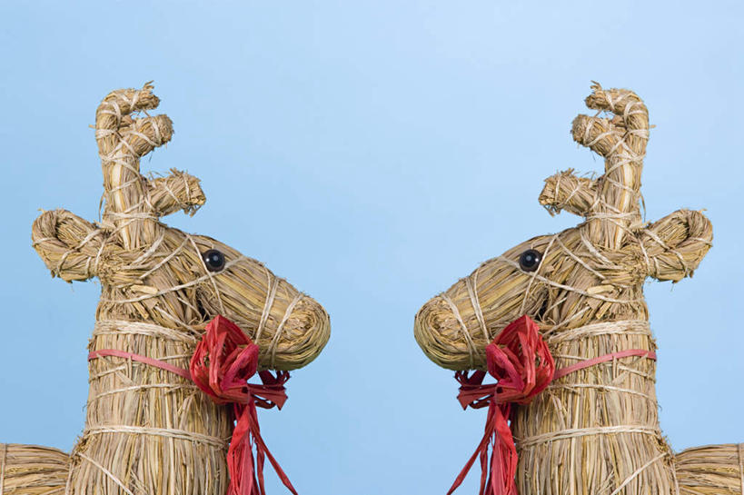 无人,横图,室内,特写,白天,正面,幸福,哺乳动物,鹿,野生动物,静物,装饰,丝绸,丝带,干草,缎带,绸带,红色,动物,草垛,两只,可爱,摄影,活泼,影棚,华丽,修饰,吉祥,点缀,衬托,美观,雅致,雅观,进取,角鹿,干草垛,驯鹿,彩图,影棚拍摄,拍摄