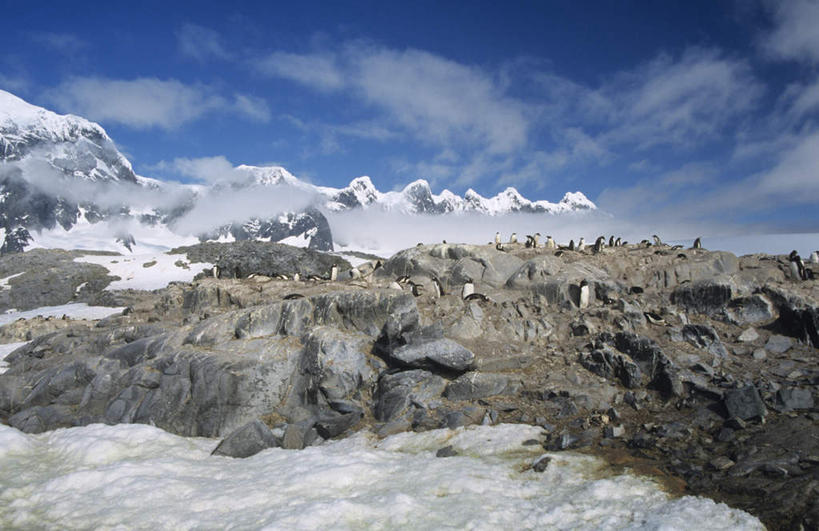 无人,横图,室外,白天,正面,旅游,度假,南极,石头,美景,山,雪,雪山,大雪,阴影,光线,石子,影子,冰,积雪,景观,山峰,雪景,云,云朵,冬季,冬天,山峦,云彩,娱乐,蓝色,白云,蓝天,天空,阳光,自然,天,享受,休闲,景色,放松,寒冷,晴朗,冰冷,自然风光,南极洲,严寒,冰凉,酷寒,凛冽,凛凛,极冷,南极大陆,南极地区,南极区,南极圈,洛克雷港,第七大陆,石块,岩石,晴空,彩图