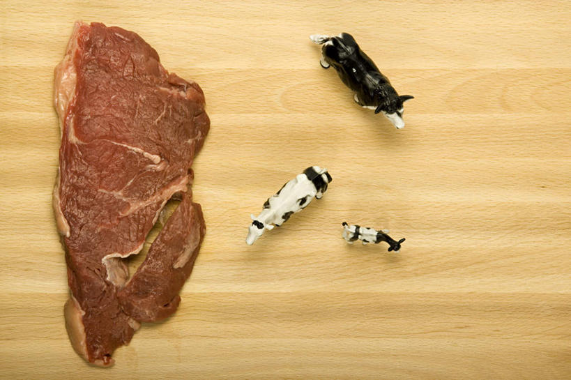 无人,横图,俯视,室内,特写,白天,餐桌,桌子,牛,雕塑,花纹,艺术,装饰,木制,雕刻,雕像,肉,牛排,牛肉,乳牛,肉类,动物,木制品,工艺品,家畜,摄影,牲畜,影棚,三头,餐台,纪念,美术,斑纹,主题,陈列,肉食,功能,美学,奶牛,彩图,高角度拍摄,影棚拍摄,拍摄