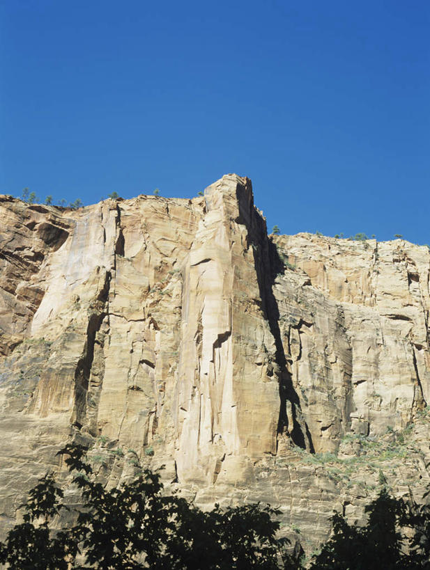 无人,公园,竖图,室外,白天,仰视,旅游,度假,石头,美景,山,山脉,峡谷,植物,美国,纹路,石子,纹理,景观,山峰,山谷,山峦,娱乐,树,树木,蓝色,绿色,白色,蓝天,天空,自然,群山,天,享受,休闲,景色,放松,生长,晴朗,成长,北美,北美洲,犹他州,岩层,自然风光,美洲,万里无云,肌理,北亚美利加洲,亚美利加洲,犹他,蜂窝之州,蜂房州,锡安国家公园,宰恩国家公园,石块,岩石,晴空,晴空万里,彩图,低角度拍摄