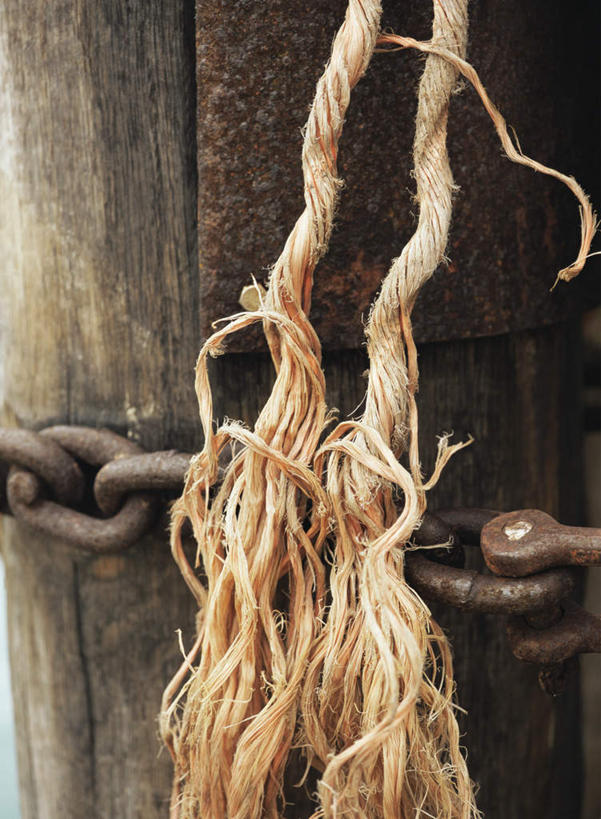 无人,竖图,室外,特写,白天,正面,静物,生锈,树桩,树,树干,一个,绳子,木桩,单个,铁环,绳索,腐蚀,侵蚀,腐化,锈迹斑斑,彩图