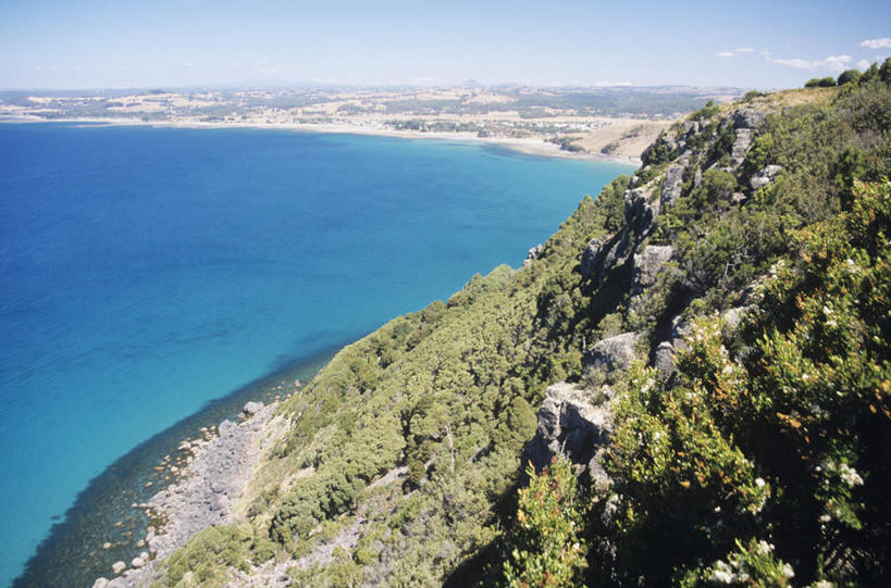 无人,横图,俯视,航拍,室外,白天,旅游,度假,海浪,海洋,石头,美景,沙滩,树林,植物,澳大利亚,沙子,石子,海岸,景观,浪花,悬崖,沙地,娱乐,树,树木,蓝色,绿色,蓝天,天空,自然,海水,天,享受,休闲,景色,放松,生长,晴朗,成长,鸟瞰,自然风光,大洋洲,塔斯马尼亚,澳洲,海景,万里无云,南方大陆,澳大利亚联邦,绝壁,塔斯马尼亚州,大海,风浪,海,海水的波动,海滩,近岸浪,石块,岩石,涌浪,晴空,晴空万里,彩图,高角度拍摄