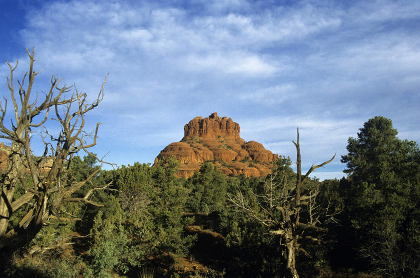 无人,横图,室外,白天,仰视,旅游,度假,美景,森林,山,山脉,树林,植物,城市,美国,阴影,光线,影子,景观,山峰,云,云朵,山峦,云彩,娱乐,树,树木,蓝色,绿色,白云,蓝天,天空,阳光,自然,群山,天,享受,休闲,景色,放松,生长,晴朗,成长,亚利桑那,北美,北美洲,自然风光,美洲,亚利桑那州,大峡谷之州,北亚美利加洲,亚美利加洲,塞多纳,晴空,彩图,低角度拍摄