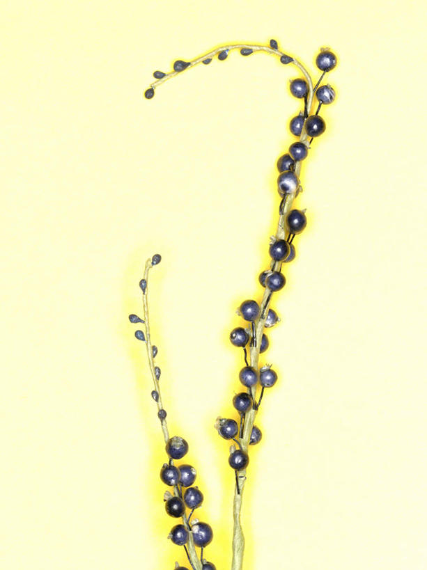 无人,竖图,俯视,室内,特写,白天,美景,浆果,静物,阴影,黄色背景,装饰,反射,影子,景观,黑色,自然,假花,景色,摄影,影棚,华丽,修饰,点缀,两支,自然风光,衬托,美观,雅致,雅观,彩图,高角度拍摄,影棚拍摄,拍摄,仿真花,人造花