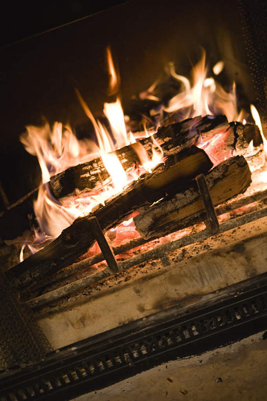 无人,家,木屋,竖图,室内,特写,白天,正面,热情,壁炉,火,火焰,木材,燃烧,住宅,木柴,温暖,木料,温顺,暖和,温煦,彩图,茅舍,茅屋,棚屋,小木屋,小屋