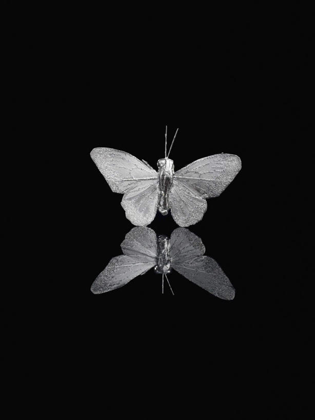 无人,竖图,室内,特写,白天,正面,蝴蝶,静物,伸展,张开,展翅,阴影,黑色背景,反射,翅膀,昆虫,影子,一只,动物,摄影,影棚,益虫,张开翅膀,展开翅膀,彩图,全身,影棚拍摄,拍摄