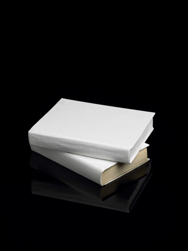 无人,竖图,俯视,室内,特写,白天,静物,书籍,一堆,阴影,堆叠,堆积,黑色背景,反射,影子,白色,摄影,影棚,两本,堆,书,图书,彩图,高角度拍摄,影棚拍摄,拍摄