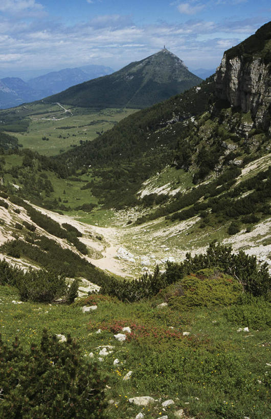 无人,竖图,俯视,航拍,室外,白天,旅游,度假,美景,森林,山,山脉,树林,植物,意大利,欧洲,阴影,光线,纹路,纹理,影子,景观,山峰,云,云朵,山峦,云彩,娱乐,树,树木,蓝色,绿色,白云,蓝天,天空,阳光,自然,群山,天,享受,休闲,景色,放松,生长,晴朗,成长,鸟瞰,南欧,自然风光,多洛米蒂山,意大利共和国,肌理,晴空,彩图,高角度拍摄