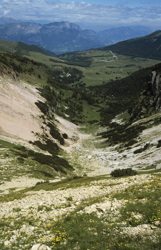 无人,竖图,俯视,航拍,室外,白天,旅游,度假,美景,森林,山,山脉,树林,植物,意大利,欧洲,阴影,光线,纹路,纹理,影子,景观,山峰,云,云朵,山峦,云彩,娱乐,树,树木,蓝色,绿色,白云,蓝天,天空,阳光,自然,群山,天,享受,休闲,景色,放松,生长,晴朗,成长,鸟瞰,南欧,自然风光,多洛米蒂山,意大利共和国,肌理,晴空,彩图,高角度拍摄