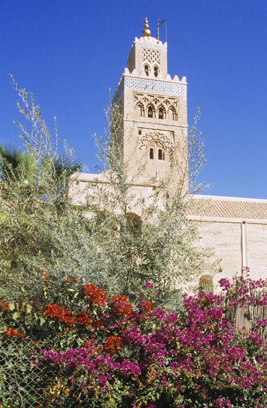 无人,竖图,室外,白天,仰视,旅游,度假,名胜古迹,植物,标志建筑,地标,建筑,非洲,摩洛哥,阴影,节日,遗迹,盛开,光线,影子,花蕾,古迹,文化,文物,娱乐,建设,古建筑,花,花瓣,花朵,鲜花,树,树木,蓝色,绿色,蓝天,天空,阳光,自然,天,花苞,花蕊,祈祷,享受,休闲,健康,旅游胜地,放松,许愿,宗教,信仰,生长,晴朗,成长,纪念,祈求,伊斯兰教,清真寺,古文明,万里无云,阿非利加洲,摩洛哥王国,马拉喀什,库图比亚清真寺,库杜比亚清真寺,平安,晴空,晴空万里,彩图,低角度拍摄