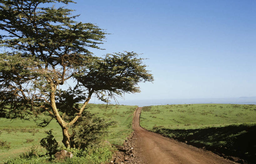 无人,横图,室外,白天,正面,旅游,度假,草地,草坪,美景,植物,道路,路,公路,地平线,景观,辽阔,地面,交通,娱乐,草,树,树木,蓝色,绿色,蓝天,天空,自然,天,享受,休闲,广阔,景色,放松,生长,晴朗,成长,一望无际,笔直,自然风光,延伸,万里无云,天地相交,笔挺,无边无际,一马平川,晴空,晴空万里,马路,彩图