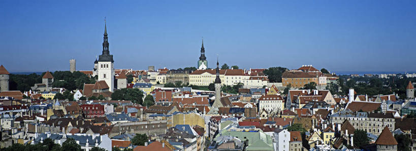 无人,家,横图,全景,俯视,室外,白天,度假,美景,天际线,植物,城市风光,城市,欧洲,爱沙尼亚,许多,阴影,光线,影子,房屋,屋子,景观,首都,娱乐,楼房,住宅,树,树木,排列,蓝色,绿色,蓝天,天空,阳光,自然,天,享受,休闲,景色,放松,生长,晴朗,成长,东欧,万里无云,摆列,爱沙尼亚共和国,塔林,晴空,晴空万里,彩图,高角度拍摄,房子,布列,分列