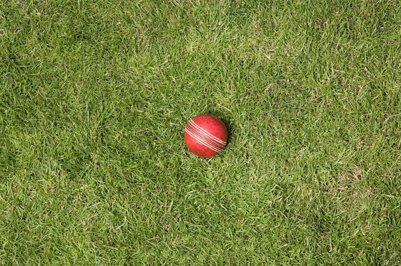 无人,横图,俯视,室外,特写,白天,草地,草坪,植物,运动器械,球,草,一个,红色,绿色,健身器械,单个,健身器材,板球,彩图,高角度拍摄,运动器材