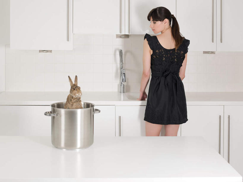 西方人,一个人,站,横图,室内,白天,制服,烹饪,餐桌,厨房,柜子,桌子,哺乳动物,厨具,金属制品,欧洲,欧洲人,仅一个年轻女性,仅一个女性,仅一个人,连衣裙,金属,兔子,锅子,围裙,储物柜,扭头,注视,锅,扮演,一只,背面,动物,观察,看,站着,转头,模仿,餐台,锅具,观看,兔,察看,储存,关注,角色扮演,烹饪用具,仆人,储备,蕴藏,贮备,女仆装,主人,年轻女性,女人,女性,白种人,烹调用具,烹调,站立,半身,彩图,灶间,贮存