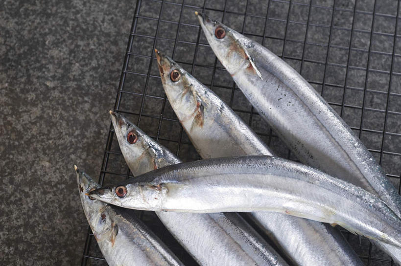 海鲜,无人,横图,俯视,室内,特写,白天,桌面,桌子,一排,阴影,整齐,反射,木制,秋刀鱼,鱼,影子,水产,鱼类,海洋生物,排列,木制品,竹刀鱼,五条,刀鱼,队列,水生动物,海产品,水生物,海底动物,半身,彩图,高角度拍摄