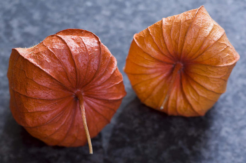 无人,横图,俯视,室内,特写,白天,桌面,桌子,阴影,盛开,反射,木制,影子,花蕾,花,花瓣,花朵,鲜花,两个,木制品,花苞,花蕊,橙色,冬樱花,悸动,冬海棠,高盆樱,彩图,高角度拍摄