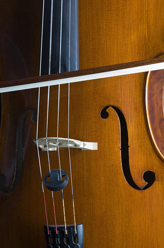 无人,竖图,室内,特写,白天,正面,静物,黑色背景,木制,大提琴,乐器,弦乐器,一个,木制品,摄影,影棚,单个,弓拉弦乐器,弓拉弦鸣乐器,彩图,影棚拍摄,拍摄