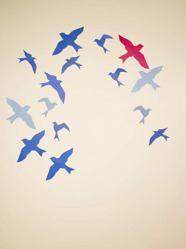 无人,竖图,室内,白天,正面,友谊,鸽子,鸟,飞翔,伸展,张开,展翅,飞行,翅膀,鸟类,翱翔,飞舞,象征,和平,张开翅膀,遨游,漫游,信使,展开翅膀,彩图,全身