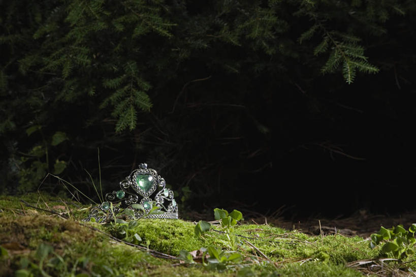 无人,横图,室外,夜晚,正面,草地,草坪,植物,皇冠,叶子,绿叶,草,树,树木,一个,绿色,自然,嫩叶,生长,单个,成长,权威,宝石,高贵,权力,统治,叶,叶片,王冠,彩图