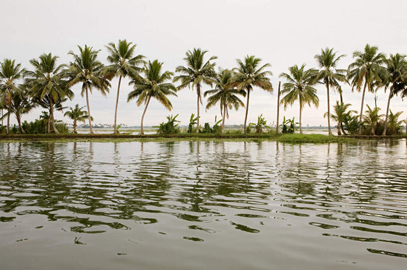 无人,横图,室外,白天,正面,旅游,度假,湖,湖泊,美景,水,植物,棕榈树,叶子,印度,亚洲,阴影,波纹,朦胧,模糊,反射,影子,湖面,景观,水流,水面,绿叶,涟漪,娱乐,树,树木,绿色,水纹,天空,自然,波浪,湖水,天,享受,休闲,嫩叶,景色,放松,生长,晴朗,成长,波光粼粼,自然风光,南亚,棕榈叶,万里无云,喀拉拉邦,印度共和国,水晕,喀拉拉,叶,叶片,晴空,晴空万里,彩图