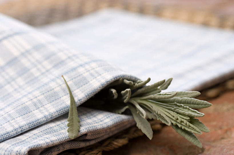无人,横图,俯视,室内,特写,白天,桌面,桌子,叶子,纺织品,朦胧,模糊,木制,布,绿叶,织物,木制品,嫩叶,布匹,迷迭香,海洋之露,卡其布,叶,叶片,彩图,高角度拍摄
