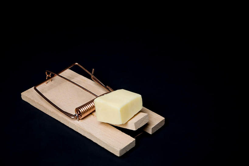 奶酪,无人,横图,俯视,室内,特写,白天,黑色背景,干酪,起司,芝士,营养,一个,乳酪,诱惑,摄影,影棚,单个,捕鼠器,勾引,乳制品,毁灭,发酵,补鼠器,灭鼠器,歼灭,灭鼠,消灭,引诱,彩图,高角度拍摄,影棚拍摄,拍摄,清除