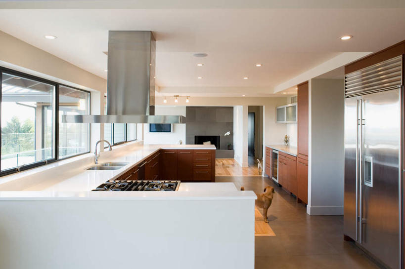 无人,站,横图,室内,白天,正面,窗户,地板,宠物,狗,照明,阴影,反射,电器,水槽,水龙头,影子,冰箱,墙,灯光,地面,扭头,注视,水斗,冷冻,顶灯,开关,冷柜,木地板,玻璃窗,墙壁,墙面,灯,一只,白色,动物,灯具,冷藏柜,打开,观察,看,站着,转头,可爱,冷藏,油烟机,观看,储藏,照亮,阀门,察看,家电,家用电器,开启,照明设备,关注,忠诚,保鲜,水咀,犬,站立,彩图,全身