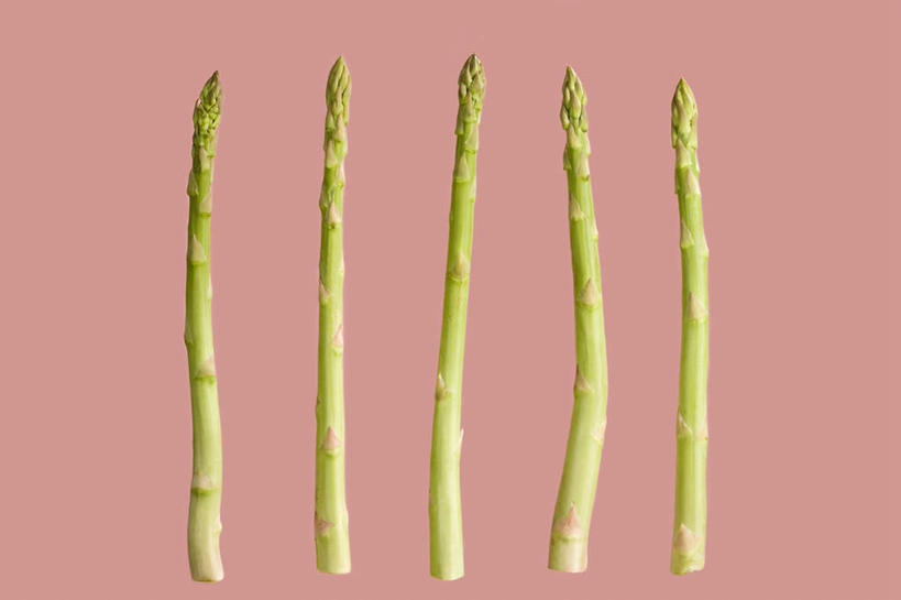 无人,横图,俯视,室内,特写,白天,餐桌,桌子,芦笋,蔬菜,一排,阴影,粉色背景,新鲜,整齐,反射,影子,食品,食物,排列,绿色,摄影,有机食品,绿色食品,影棚,餐台,队列,无根,猪尾巴,药鸡豆子,石刁柏,蚂蚁杆,龙须菜,狼尾巴根,彩图,高角度拍摄,影棚拍摄,拍摄