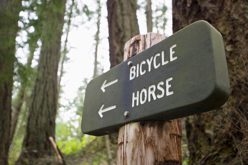 无人,公园,横图,室外,特写,白天,仰视,旅游,度假,美景,植物,指示牌,叶子,美国,朦胧,模糊,英文,标志,文字,字符,字母,景观,绿叶,树桩,方向,娱乐,标识,箭头,树,树干,树木,排列,绿色,自然,享受,休闲,嫩叶,木桩,景色,放松,生长,成长,英文字母,北美,北美洲,指向,自然风光,美洲,明尼苏达州,簇,北亚美利加洲,亚美利加洲,明尼苏达,北星之州,摆列,莫兰州立公园,叶,叶片,彩图,低角度拍摄,布列,分列