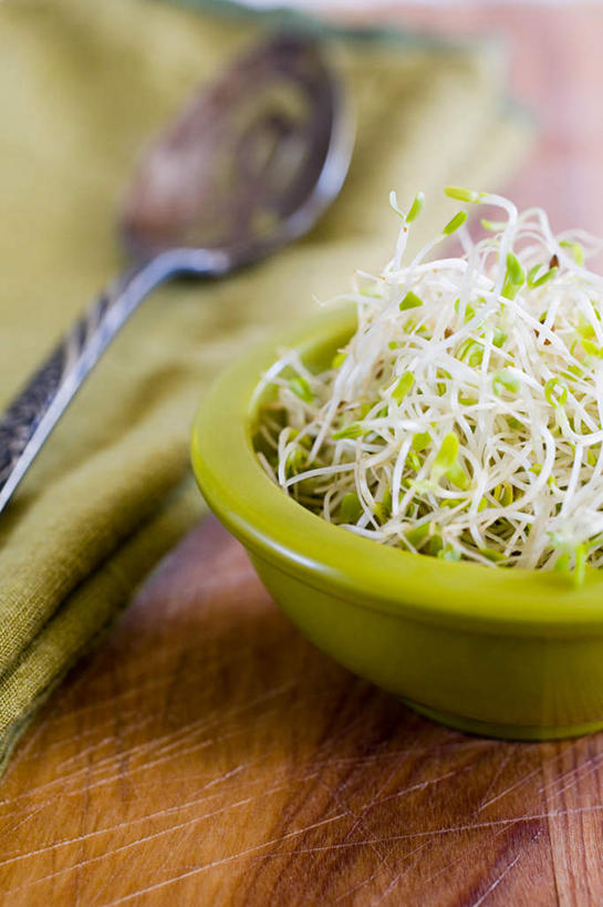 无人,竖图,俯视,室内,特写,白天,桌面,桌子,一堆,许多,阴影,堆叠,堆积,朦胧,模糊,反射,木制,影子,勺子,陶瓷,陶瓷制品,很多,两个,木制品,容器,调羹,汤匙,碗,纸巾,储藏,堆,储存,紫花苜蓿,苜蓿,牧草,紫苜蓿,彩图,高角度拍摄,贮存