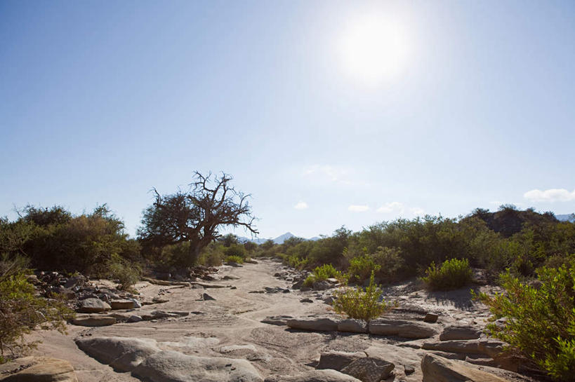 无人,横图,室外,白天,正面,旅游,度假,草地,草坪,石头,美景,太阳,植物,阿根廷,阴影,光线,石子,影子,景观,娱乐,草,蓝色,绿色,蓝天,天空,阳光,自然,天,享受,休闲,景色,南美,放松,晴朗,南美洲,拉丁美洲,自然风光,美洲,圣胡安,万里无云,亚美利加洲,南亚美利加洲,阿根廷共和国,圣胡安省,石块,岩石,晴空,晴空万里,彩图