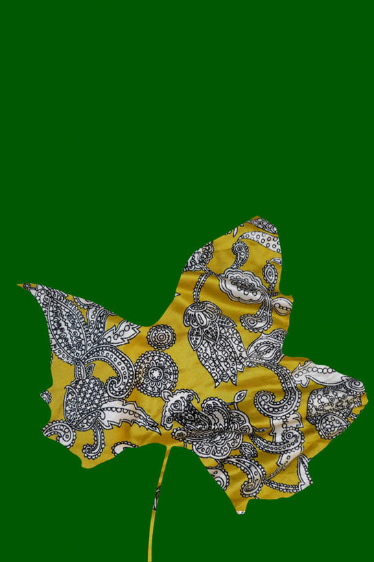 无人,竖图,插画,室内,白天,正面,叶子,一片,连接,绿色背景,组合,艺术,枫叶,枯叶,落叶,古典,图画,文化,画,黄色,红色,工艺品,品味,枫树叶,链接,美术,高雅,拼接,拼凑,漫画,写实,具体,具象,美学,拼合,凑集,聚合,撮合,链结,剪贴画,拼贴画,叶,叶片,彩图