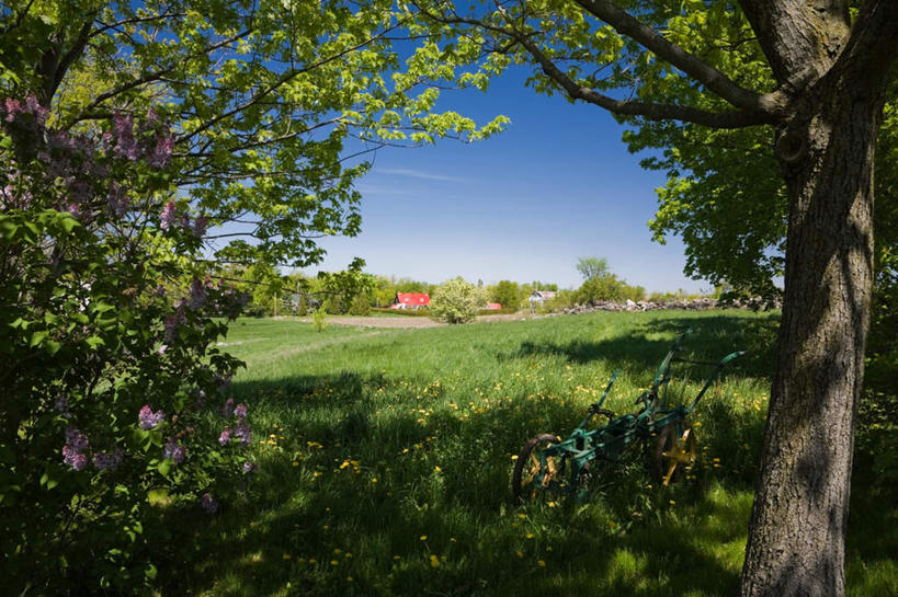 无人,家,横图,室外,白天,正面,旅游,度假,草地,草坪,美景,植物,加拿大,阴影,光线,影子,房屋,屋子,景观,娱乐,楼房,住宅,草,树,树木,蓝色,绿色,蓝天,天空,阳光,自然,天,享受,休闲,景色,放松,生长,晴朗,成长,北美,北美洲,自然风光,美洲,万里无云,省会,北亚美利加洲,亚美利加洲,魁北克,魁北克城,魁北克省,魁北克市,晴空,晴空万里,彩图,房子