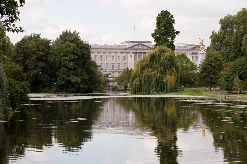 无人,家,宫殿,横图,室外,白天,正面,旅游,度假,草地,草坪,湖,湖泊,水,植物,别墅,窗户,标志建筑,地标,建筑,英国,欧洲,伦敦,波纹,房屋,墙,屋子,湖面,水流,水面,公寓,涟漪,首都,娱乐,建设,洋房,楼房,白金汉宫,玻璃窗,墙壁,墙面,住宅,草,树,树木,绿色,倒影,水纹,自然,波浪,湖水,享受,休闲,旅游胜地,放松,生长,成长,倒映,西欧,大不列颠,大不列颠及北爱尔兰联合王国,水晕,大不列颠联合王国,日不落英帝国,雾都,反照,办公厅,藏金库,美术陈列馆,白金汉屋,帝国纪念堂,彩图,房子