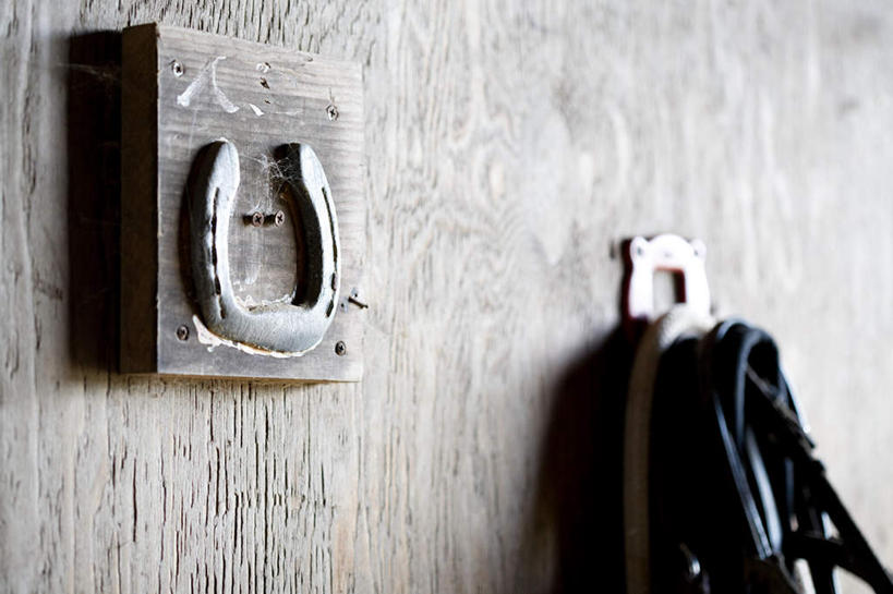 无人,农场,横图,室内,特写,白天,正面,畜牧业,牧场,静物,阴影,反射,影子,墙,墙壁,墙面,绳子,缰绳,马蹄,畜牧,牧业,彩图