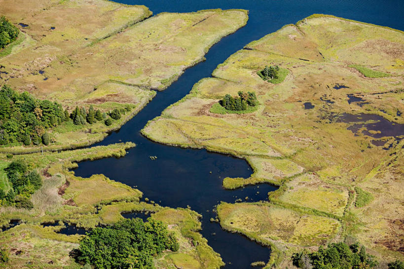 无人,横图,俯视,航拍,室外,白天,旅游,度假,海浪,海洋,美景,植物,美国,枯萎,景观,浪花,枯草,娱乐,草,树,树木,黄色,绿色,自然,海水,享受,休闲,景色,放松,生长,成长,北美,北美洲,罗得岛,鸟瞰,自然风光,美洲,海景,罗德岛,北亚美利加洲,亚美利加洲,罗得岛州,海洋之州,纽波特,大海,风浪,海,海水的波动,近岸浪,涌浪,彩图,高角度拍摄