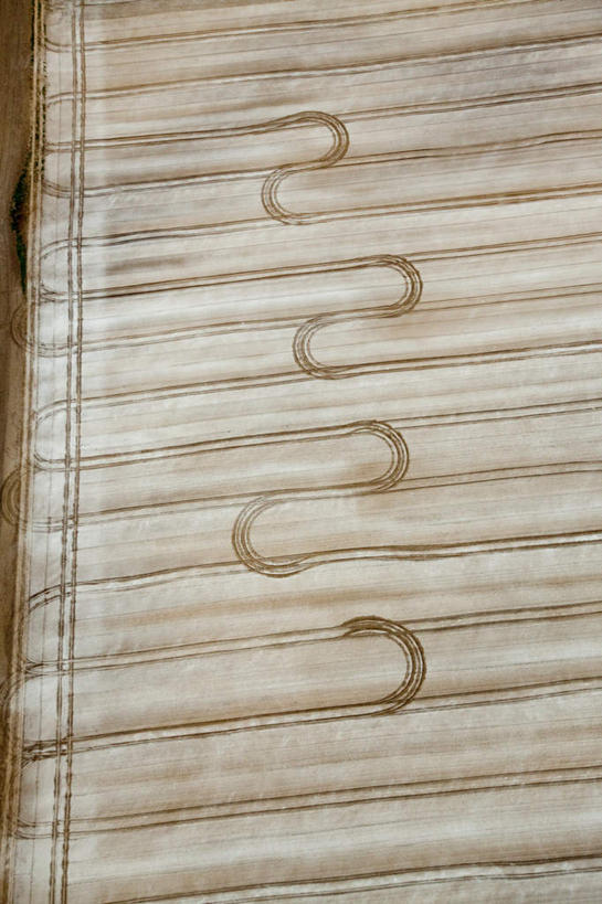 无人,农田,竖图,俯视,航拍,室外,白天,旅游,度假,庄稼,农作物,美景,美国,景观,娱乐,自然,享受,休闲,景色,放松,北美,北美洲,罗得岛,鸟瞰,自然风光,美洲,罗德岛,北亚美利加洲,亚美利加洲,罗得岛州,海洋之州,纽波特,彩图,高角度拍摄,耕地,庄稼田