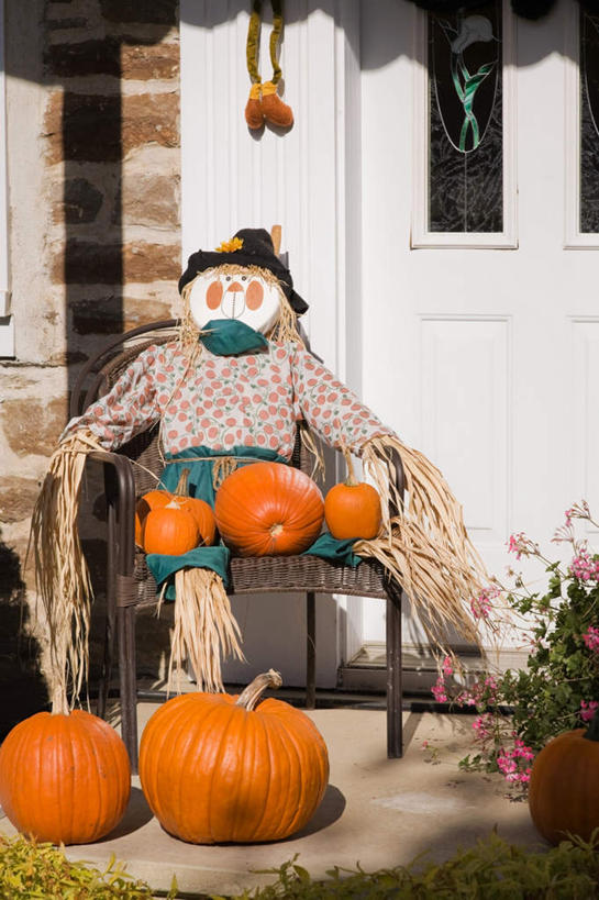 无人,家,竖图,室外,白天,正面,植物,门,南瓜,蔬菜,阴影,新鲜,盛开,光线,盆栽,影子,房屋,墙,屋子,金瓜,食品,稻草,盆景,花蕾,稻草人,楼房,番瓜,墙壁,墙面,住宅,花,花瓣,花朵,鲜花,食物,绿色,阳光,自然,门框,花苞,花蕊,橙色,有机食品,绿色食品,生长,成长,麦瓜,倭瓜,偶人,彩图,房子