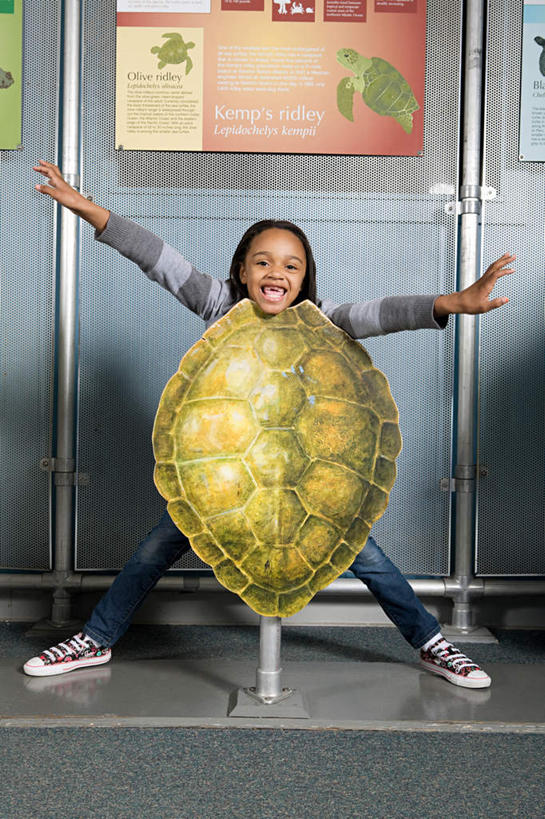 西方人,儿童,一个人,站,举,伸展双臂,笑,微笑,竖图,室内,白天,正面,纯洁,龟,欧洲,非洲,黑人,欧洲人,仅一个女性,仅一个人,表演,墙,注视,海洋生物,水族馆,墙壁,墙面,小孩,观察,看,托,站着,仅一个小孩,健康,展示,可爱,童年,童趣,遮,遮掩,海底世界,观看,张开双腿,展览,龟壳,察看,掩盖,遮挡,饲养,关注,水生动物,坚定,水生物,童真,海底动物,烂漫,无邪,遮盖,收集,长寿,掩饰,展开双腿,极地海洋世界,天真,女孩,女人,女性,白种人,非洲人,孩子,海龟,敞开双臂,举起,举手,举着,伸开双臂,向上举,向上伸,向上托,展开双肩,站立,张开手臂,张开双臂,彩图,全身,女生,伸展双腿