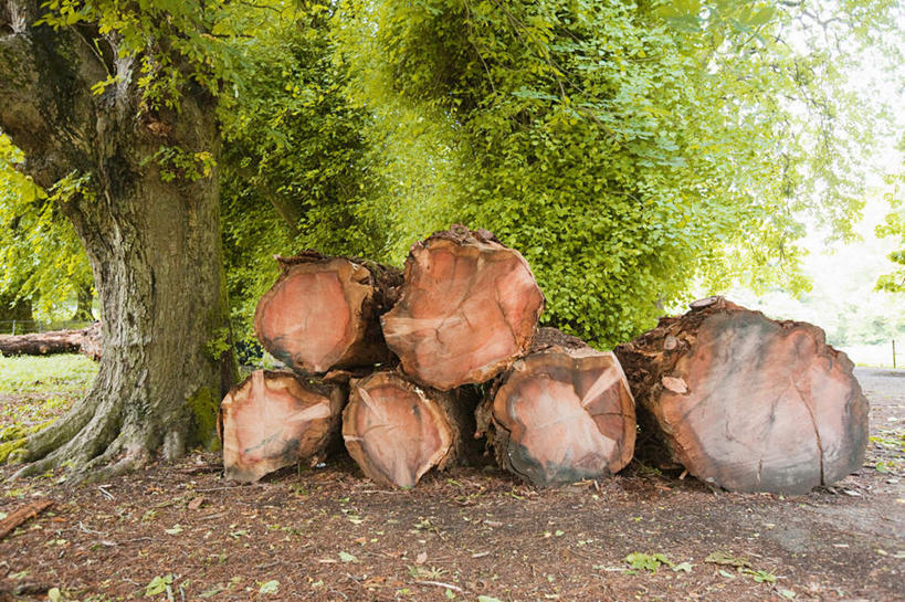 无人,横图,室外,白天,正面,旅游,度假,石头,美景,植物,爱尔兰,欧洲,一堆,许多,堆叠,堆积,石子,景观,娱乐,树,树木,绿色,自然,享受,休闲,景色,放松,生长,成长,堆,西欧,自然风光,芒斯特省,爱尔兰共和国,凯里郡,芒斯特,石块,岩石,彩图