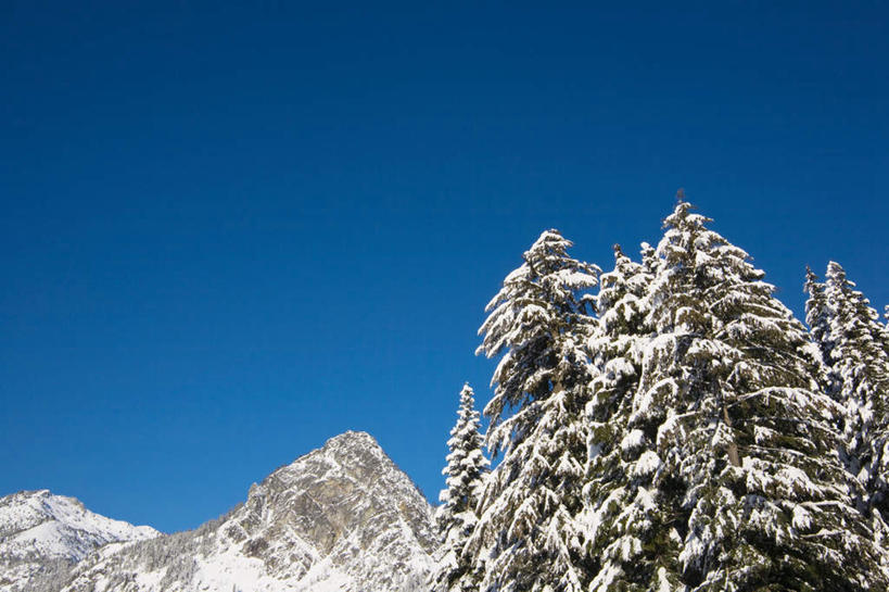 无人,横图,室外,白天,仰视,旅游,度假,石头,美景,森林,山,树林,雪,雪山,植物,大雪,松树,华盛顿,美国,阴影,光线,石子,影子,冰,积雪,景观,山峰,雪景,冬季,冬天,山峦,娱乐,树,树木,蓝色,绿色,蓝天,天空,阳光,自然,天,享受,休闲,景色,放松,寒冷,生长,晴朗,成长,冰冷,北美,北美洲,自然风光,坚定,美洲,华盛顿州,万里无云,常绿之州,常青州,北亚美利加洲,亚美利加洲,长寿,严寒,冰凉,酷寒,凛冽,凛凛,贞洁,极冷,贝克山.斯诺夸尔米国家森林公园,石块,岩石,晴空,晴空万里,彩图,低角度拍摄