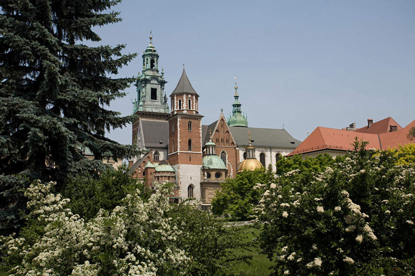 无人,家,横图,室外,白天,正面,旅游,度假,植物,标志建筑,地标,建筑,欧洲,波兰,阴影,盛开,光线,影子,堡垒,城堡,房屋,屋子,公寓,花蕾,娱乐,建设,洋房,楼房,住宅,花,花瓣,花朵,鲜花,树,树木,蓝色,绿色,蓝天,天空,阳光,自然,天,花苞,花蕊,享受,休闲,旅游胜地,放松,生长,晴朗,成长,要塞,中欧,万里无云,波兰共和国,克拉科夫,设防,克拉科夫省,晴空,晴空万里,彩图,房子