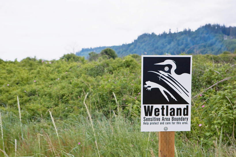 无人,横图,室外,白天,正面,旅游,度假,草地,草坪,美景,植物,指示牌,巴西,英文,标志,文字,字符,字母,景观,娱乐,标识,草,树,树木,绿色,自然,享受,休闲,景色,南美,放松,湿地,生长,成长,英文字母,南美洲,拉丁美洲,自然风光,美洲,巴西联邦共和国,亚美利加洲,南亚美利加洲,潘塔纳尔湿地,马托格罗索州,彩图