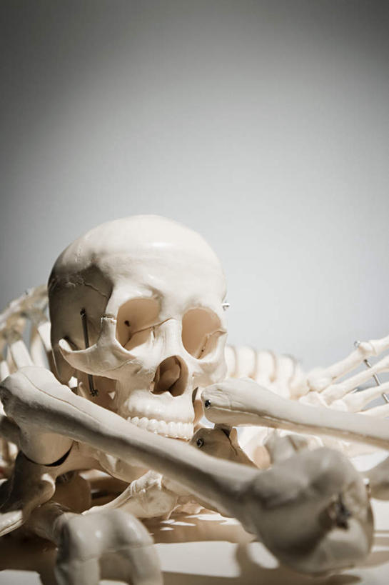 颅骨,骨骼,无人,竖图,室内,特写,白天,正面,灰色背景,节日,庆祝,骨头,文化,庆典,万圣节,摄影,影棚,纪念,骨架,恐怖,可怕,可骇,鼻骨,顶骨,额骨,颈椎,颞骨,下颌骨,颧骨,恐惧,头盖骨,彩图,影棚拍摄,拍摄