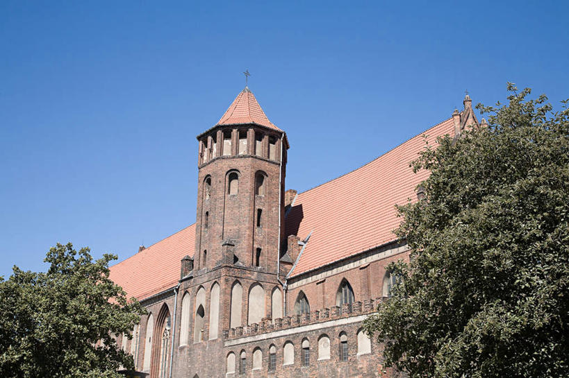 无人,教堂,横图,室外,白天,仰视,旅游,度假,植物,窗户,标志建筑,地标,建筑,欧洲,波兰,一排,许多,阴影,节日,整齐,光线,影子,文化,娱乐,建设,玻璃窗,树,树木,排列,蓝色,绿色,蓝天,天空,阳光,自然,天,祈祷,享受,休闲,健康,旅游胜地,放松,许愿,宗教,信仰,生长,晴朗,成长,纪念,祈求,队列,信念,中欧,万里无云,省会,波兰共和国,格但斯克,波美拉尼亚,波美拉尼亚省,平安,晴空,晴空万里,彩图,低角度拍摄,大教堂,礼拜堂