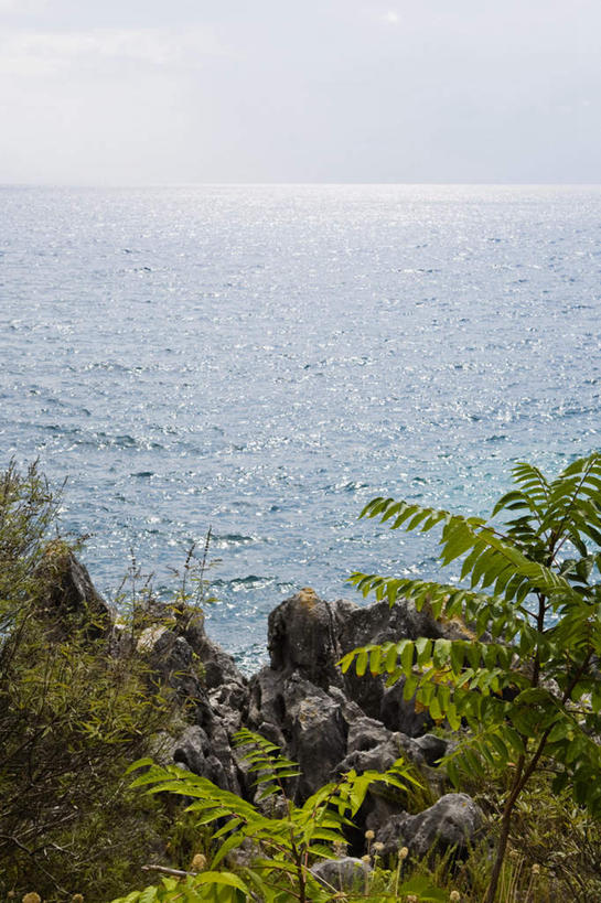 无人,竖图,俯视,室外,白天,旅游,度假,海浪,海洋,美景,太阳,植物,棕榈树,叶子,希腊,欧洲,阴影,光线,影子,景观,浪花,水平线,辽阔,绿叶,海平线,娱乐,树,树木,蓝色,绿色,蓝天,天空,阳光,自然,海水,天,享受,休闲,广阔,嫩叶,景色,放松,生长,晴朗,成长,一望无际,自然风光,海景,棕榈叶,希腊共和国,万里无云,无边无际,一马平川,爱奥尼亚群岛,伊奥尼亚群岛,科孚岛,克基拉岛,叶,叶片,大海,风浪,海,海水的波动,近岸浪,涌浪,晴空,晴空万里,彩图,高角度拍摄,水天相接,水天一线