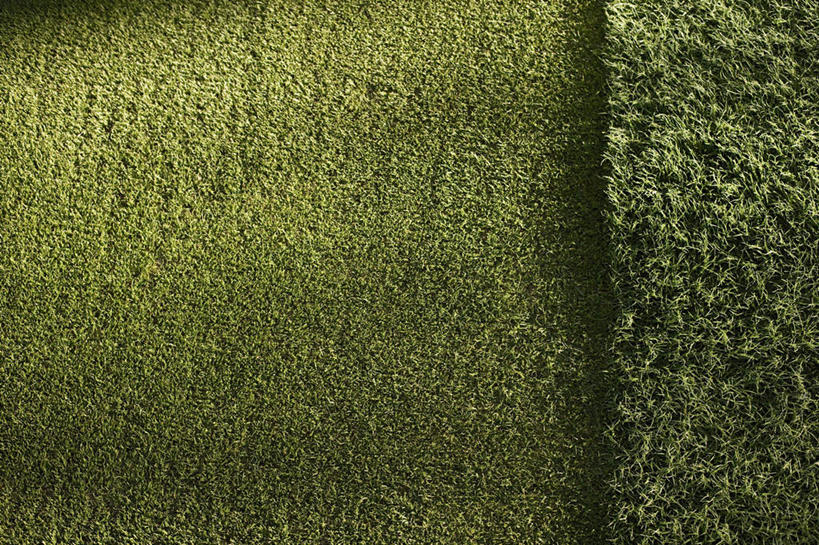 无人,横图,俯视,室外,特写,白天,草地,草坪,植物,阴影,光线,影子,球场,高尔夫球场,草,绿色,阳光,绿茵场,彩图,高角度拍摄