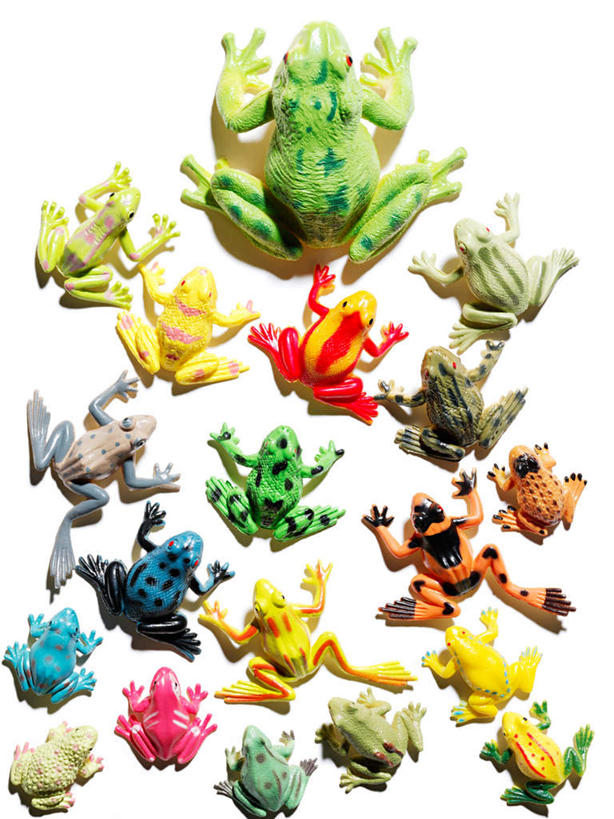 无人,竖图,俯视,彩色,室内,特写,白天,白色背景,游戏,蟾蜍,野生动物,静物,玩具,玩,娱乐,动物,休闲,益智,摄影,活泼,影棚,活动,五颜六色,色彩斑斓,发泄,消遣,智力,五彩缤纷,宣泄,五彩斑斓,蟾,五光十色,癞蛤蟆,蛤蟆,玩耍,嬉戏,彩图,高角度拍摄,影棚拍摄,拍摄